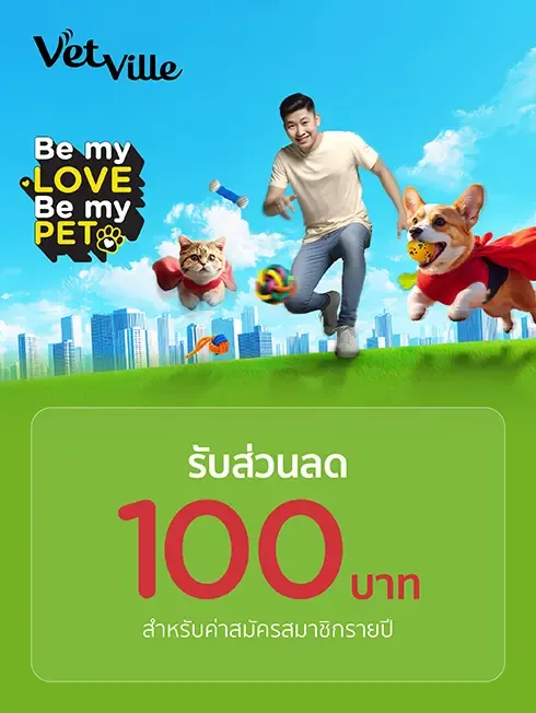 โปรโมชั่นพิเศษ ที่โรงพยาบาลสัตว์เว็ทวิลล์
