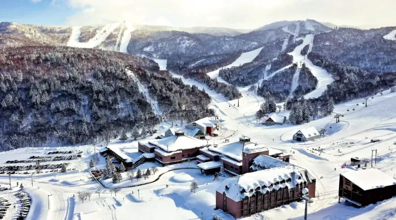 สกีรีสอร์ท ฮอกไกโด สกีรีสอร์ท ฮอกไกโด