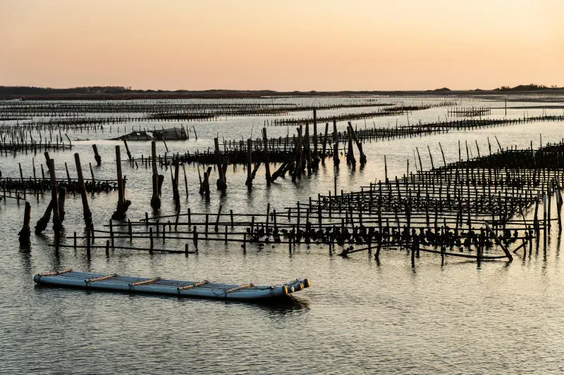 ที่เที่ยวไถหนาน เกาสง