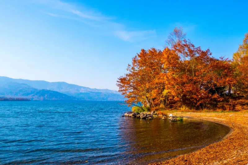 เที่ยวฮอกไกโด ใบไม้เปลี่ยนสี เที่ยวฮอกไกโด ใบไม้เปลี่ยนสี