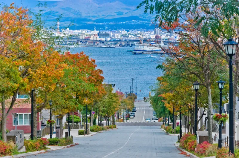 เที่ยวฮอกไกโด ใบไม้เปลี่ยนสี เที่ยวฮอกไกโด ใบไม้เปลี่ยนสี