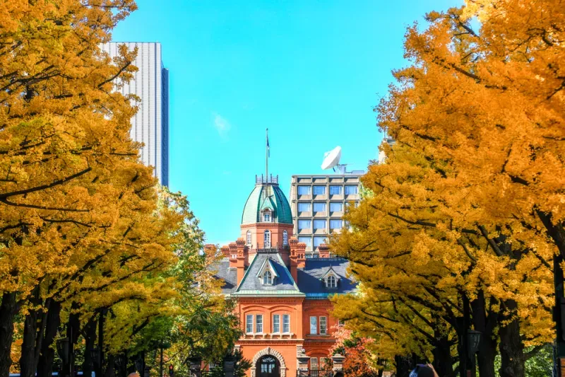 เที่ยวฮอกไกโด ใบไม้เปลี่ยนสี เที่ยวฮอกไกโด ใบไม้เปลี่ยนสี