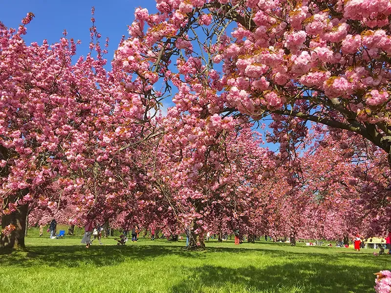 ย่าน Le Marais ย่าน Le Marais