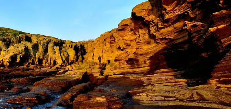 เที่ยวเกาะเชจู