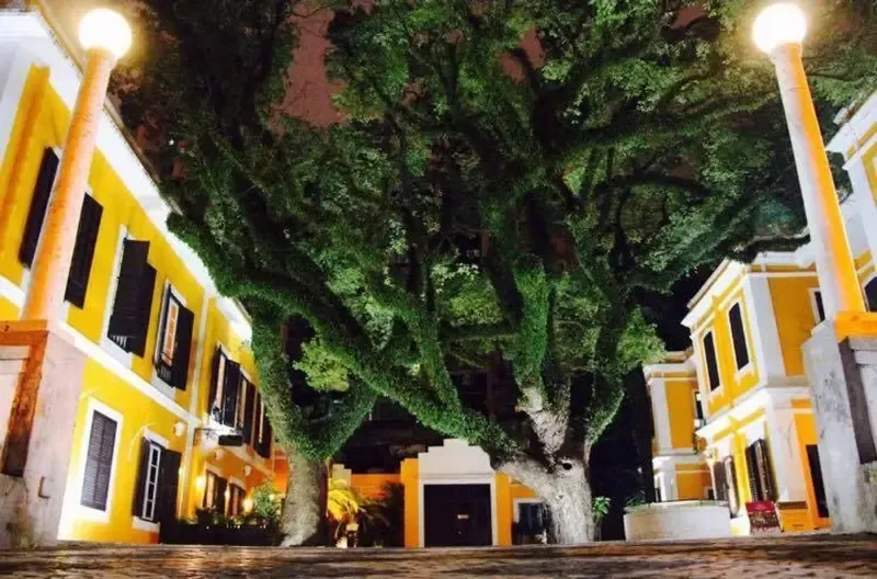 ร้านอาหารมาเก๊า