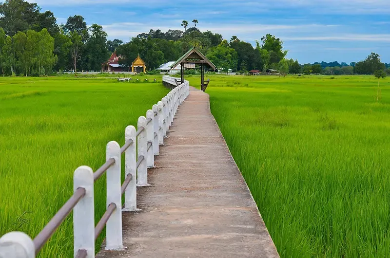 ที่เที่ยว Green Season