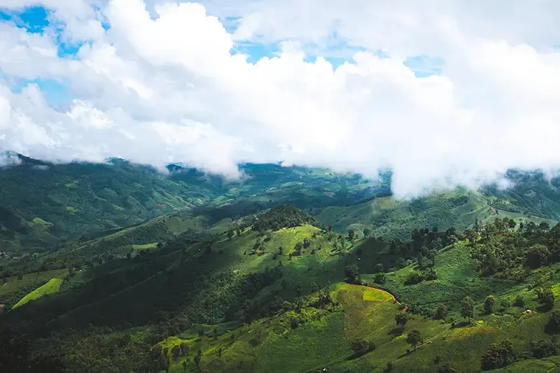 ที่เที่ยว Green Season