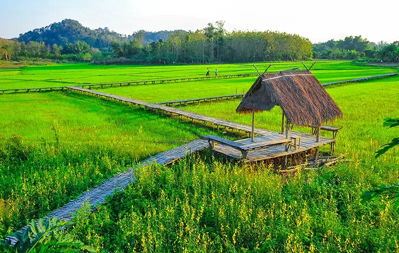 ที่เที่ยว Green Season