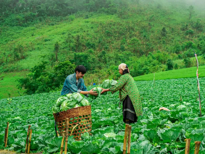 ที่เที่ยว Green Season