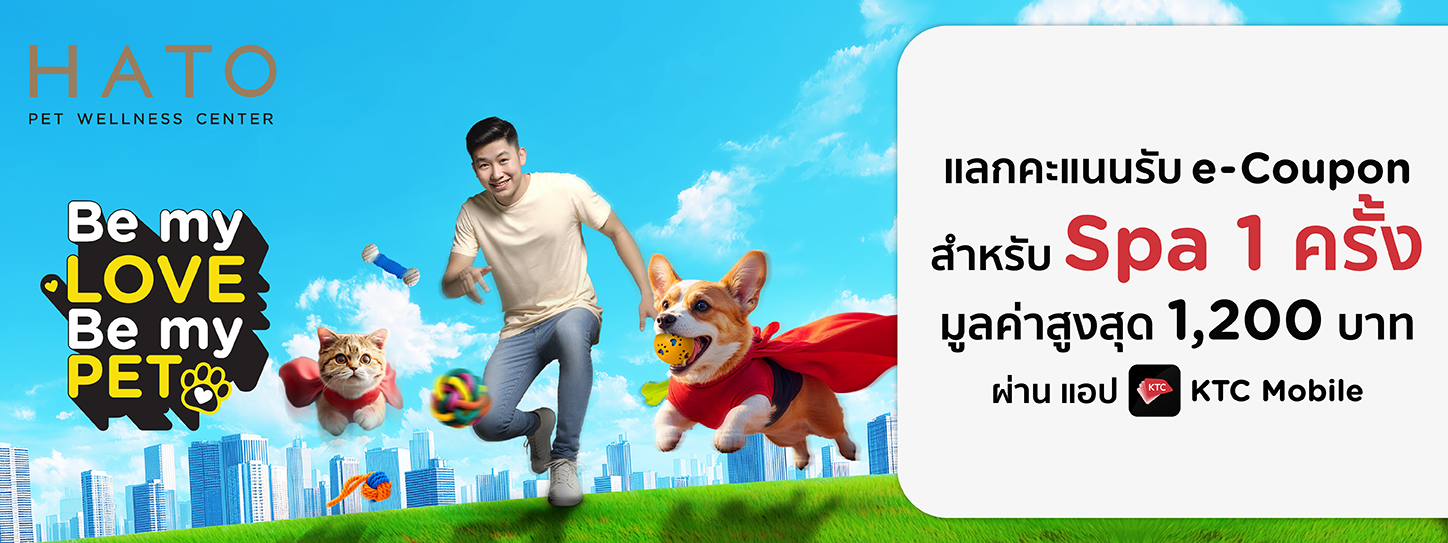 Hato Pet Wellness Center