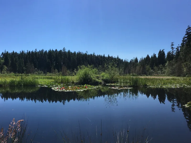 สวนสาธารณะ สแตนลีย์ พาร์ค (Stanley Park) แคนาดา สวนสาธารณะ สแตนลีย์ พาร์ค (Stanley Park) แคนาดา