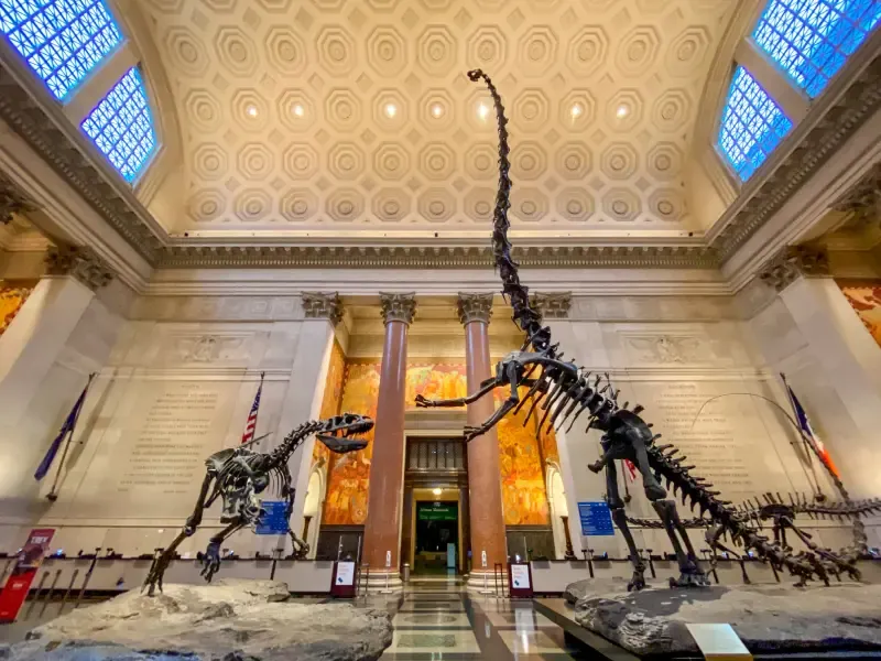 American Museum of Natural History